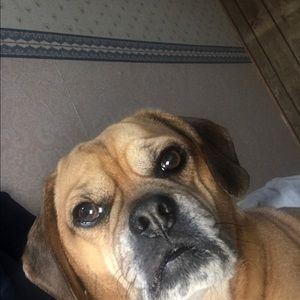 Meet your Posher, Dylan