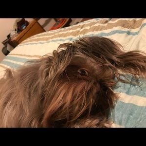 Meet your Posher, Jen