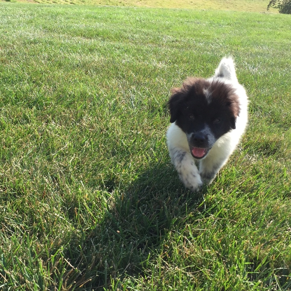 Meet your Posher, Claire