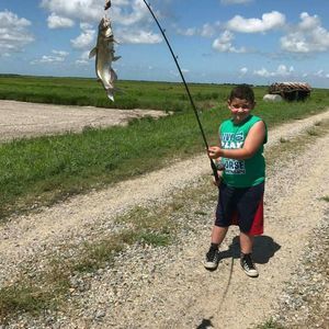 Meet your Posher, Delores