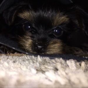 Meet your Posher, Paris