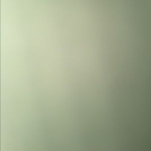 Meet your Posher, Carmen