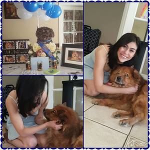 Meet your Posher, Eileen