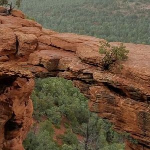 Meet your Posher, Ana