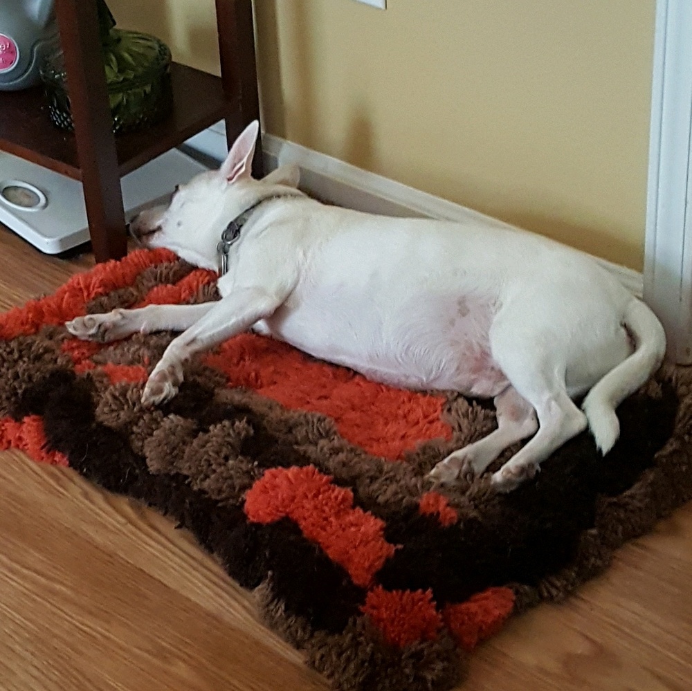 Meet your Posher, Dianell