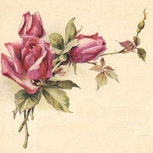 Meet your Posher, Rachelle