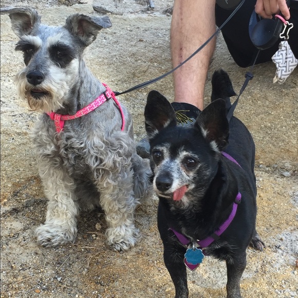 Meet your poshers! - Picture 1 of 7