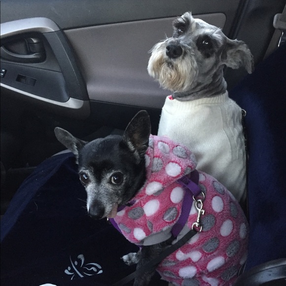 Meet your poshers! - Picture 2 of 7