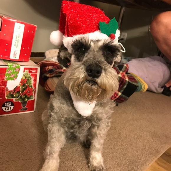 Meet your poshers! - Picture 3 of 7