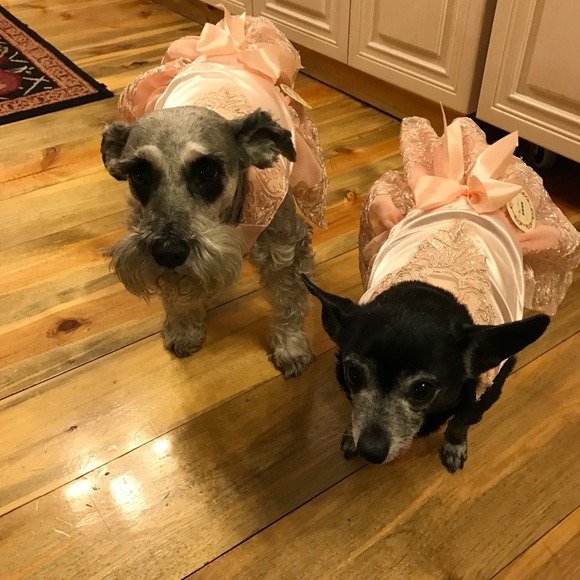 Meet your poshers! - Picture 4 of 7