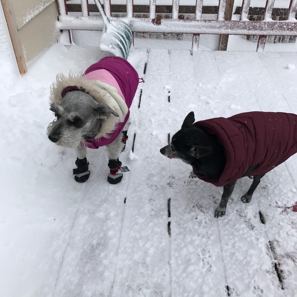 Meet your poshers! - Picture 5 of 7