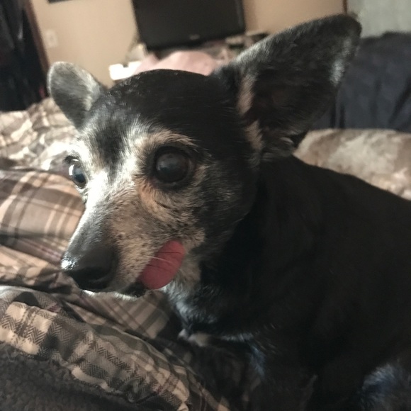 Meet your poshers! - Picture 7 of 7