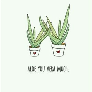 Meet your Posher, Layla