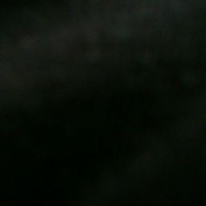 Meet your Posher, Ray