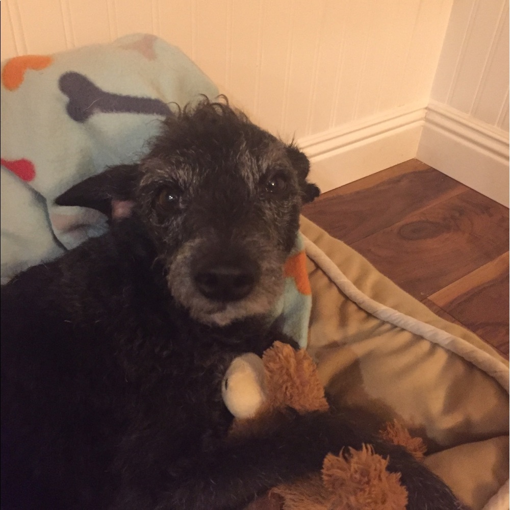 Meet your Posher, Kari