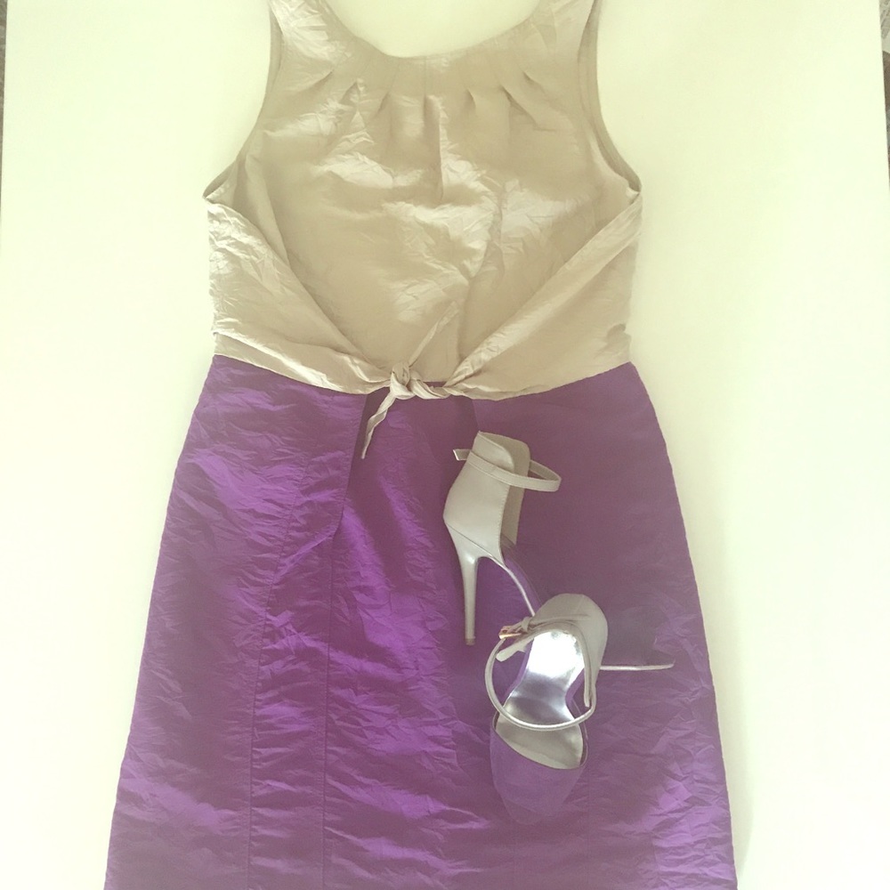 Color Block Dress Purple Beige