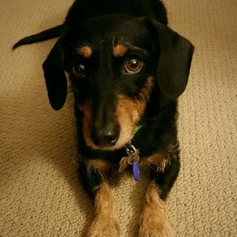 Meet your Posher, K l