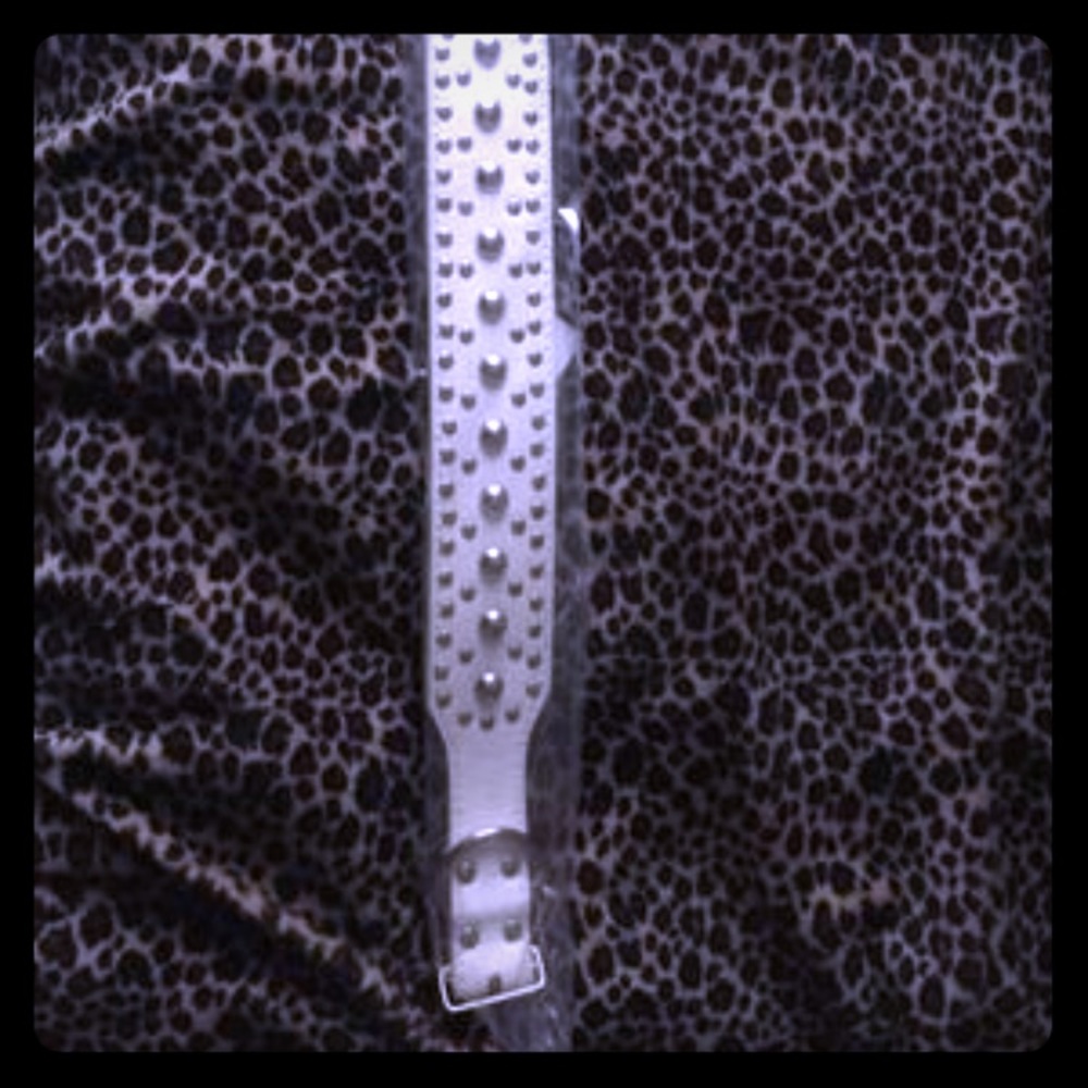 Dog Collar new in plastic. 18-22 inches
