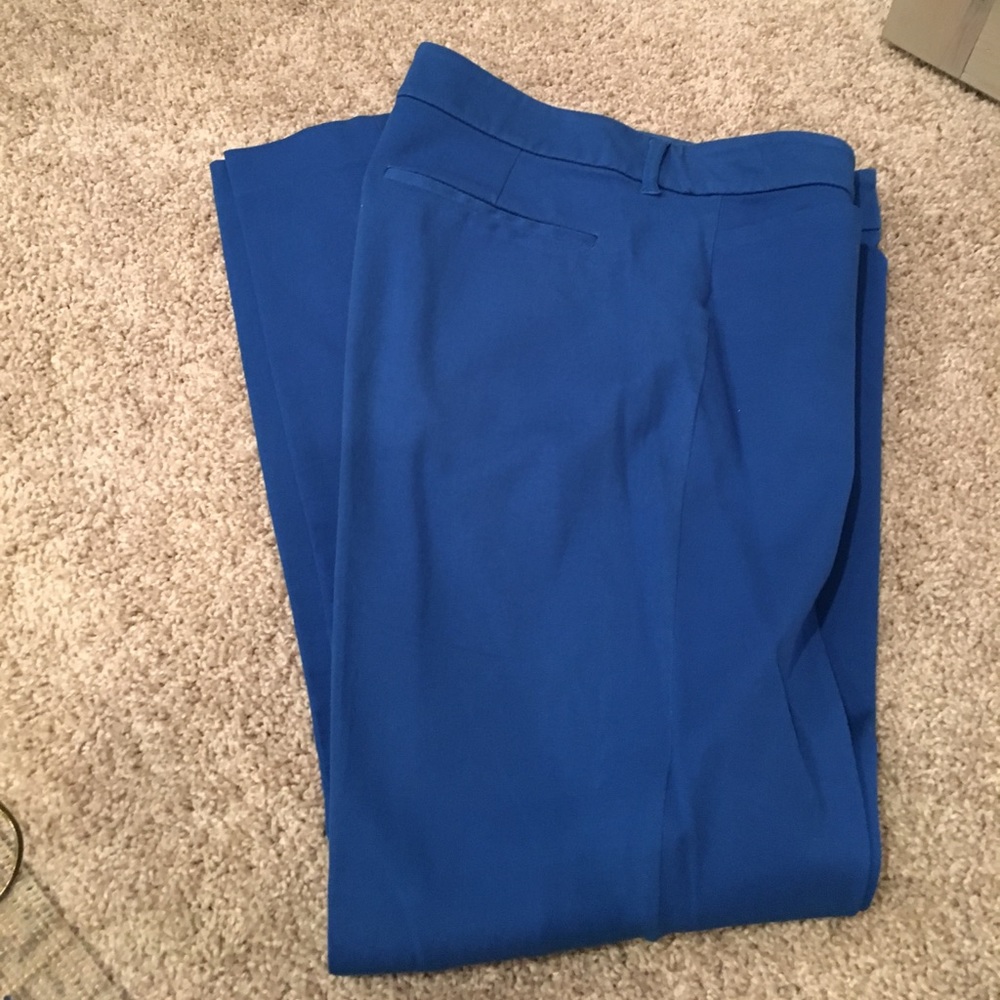 Royal Blue crop pant