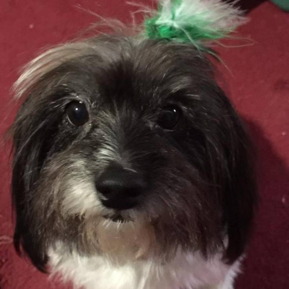 Meet your Posher, Deb