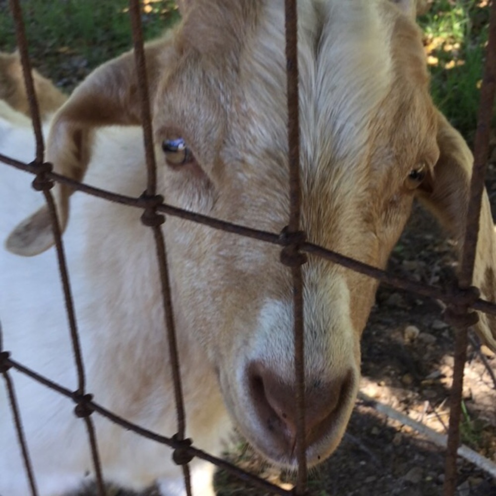 Meet your Posher, Gilberto