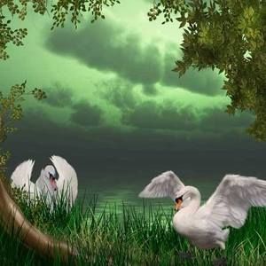 Meet your Posher, Jan