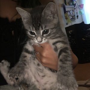 Meet your Posher, Nikki