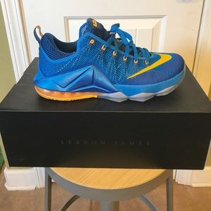 Lebron XII Low Entourage | Men's Size 11
