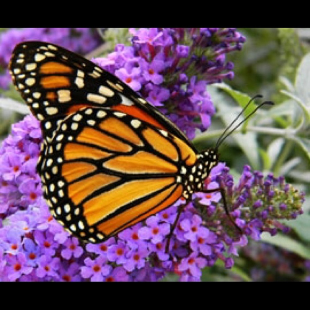 Meet your Posher, Cathy