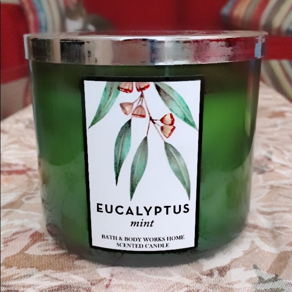 3-wick Eucalyptus Mint Candle