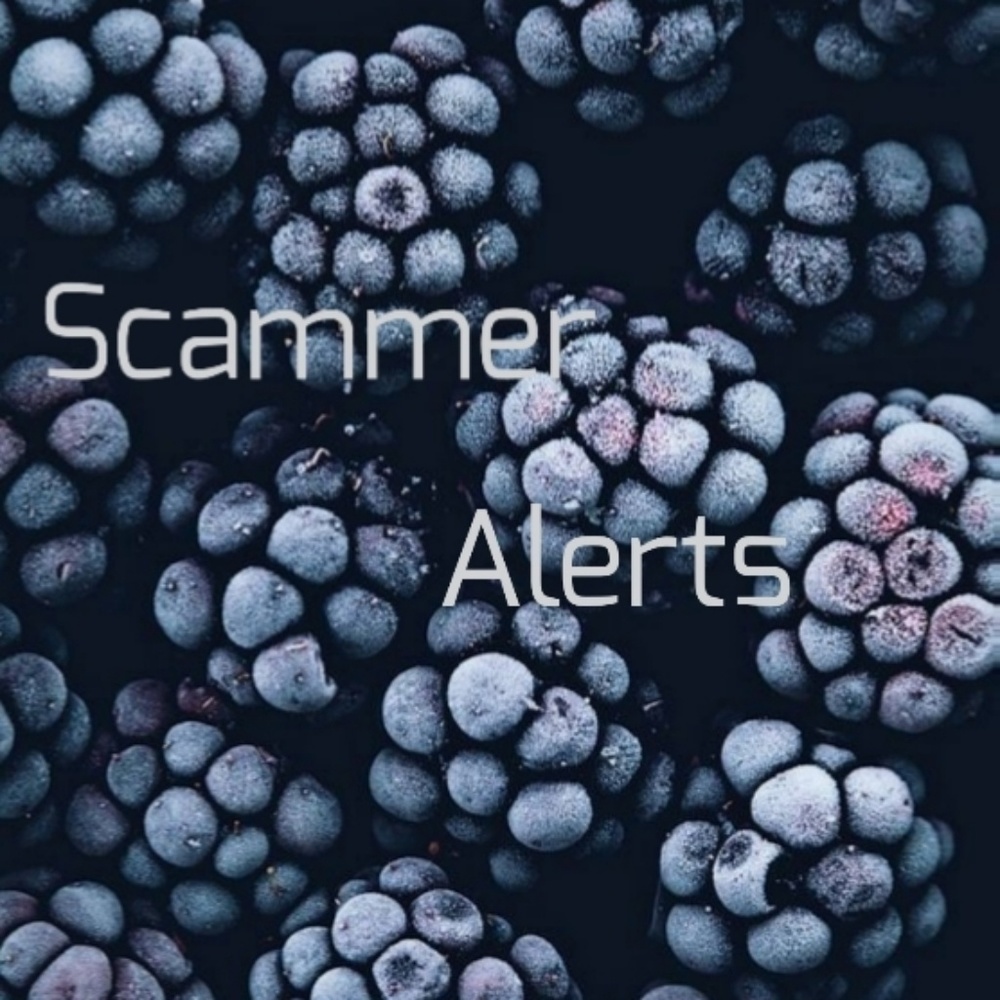 Scammers