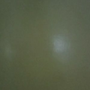 Meet your Posher, Katrina