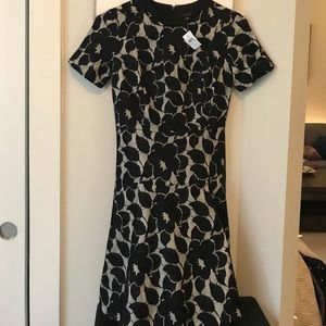 NEW Ann Taylor black dress