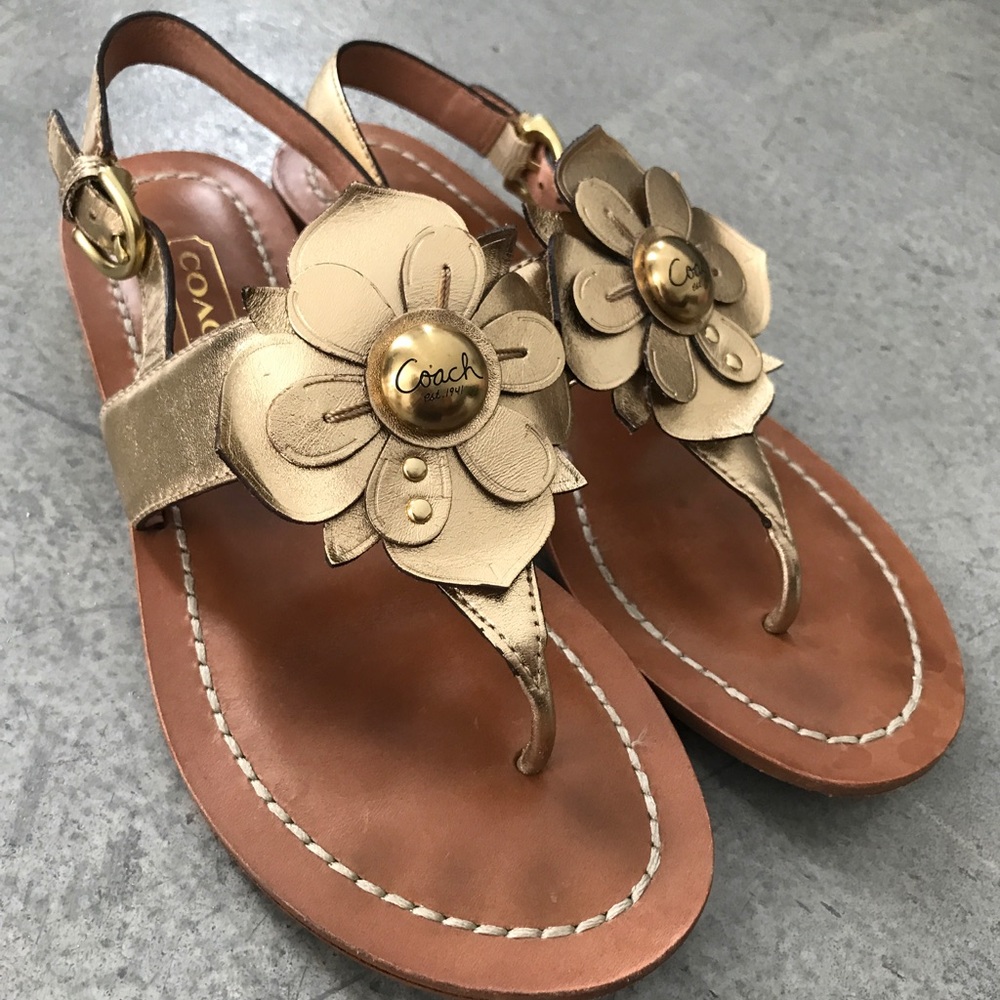 Authentic Gold Metallic Sari COACH Sandal