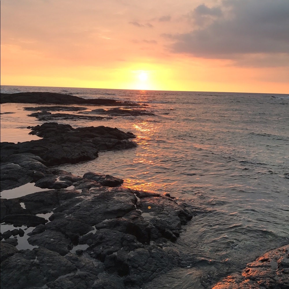 Meet your Posher, Colleen