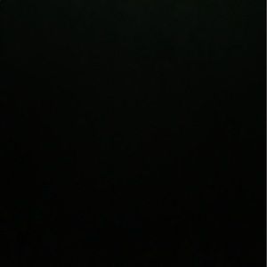 Meet your Posher, Sammie