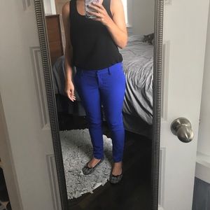 Cobalt blue slacks