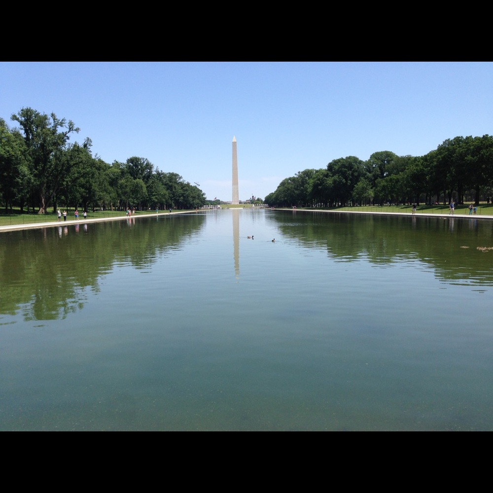 Meet your Posher, Barbara