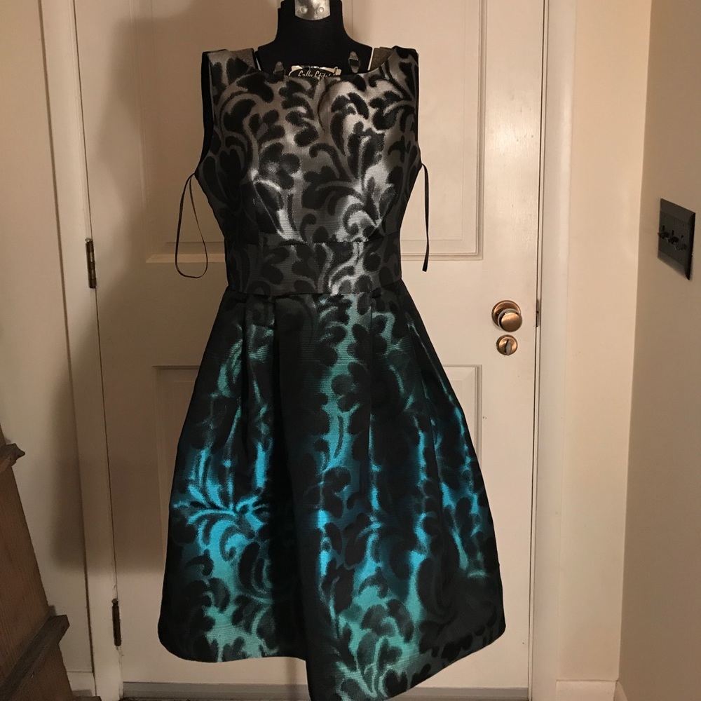 Ombré Fit & Flare Dress