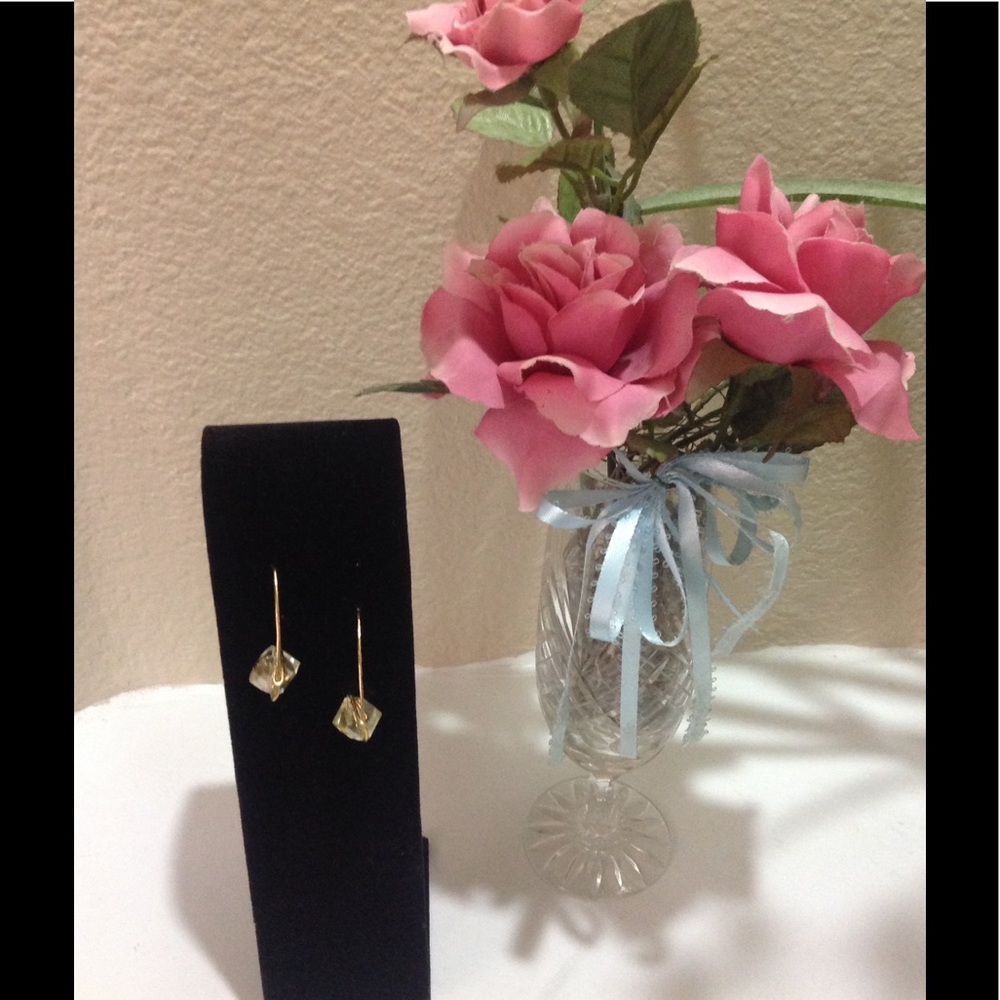 Ladies Hoop Style Earrings. (NWOT)