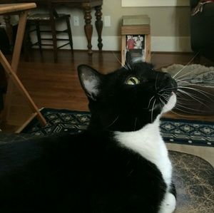 Meet your Posher, Pat