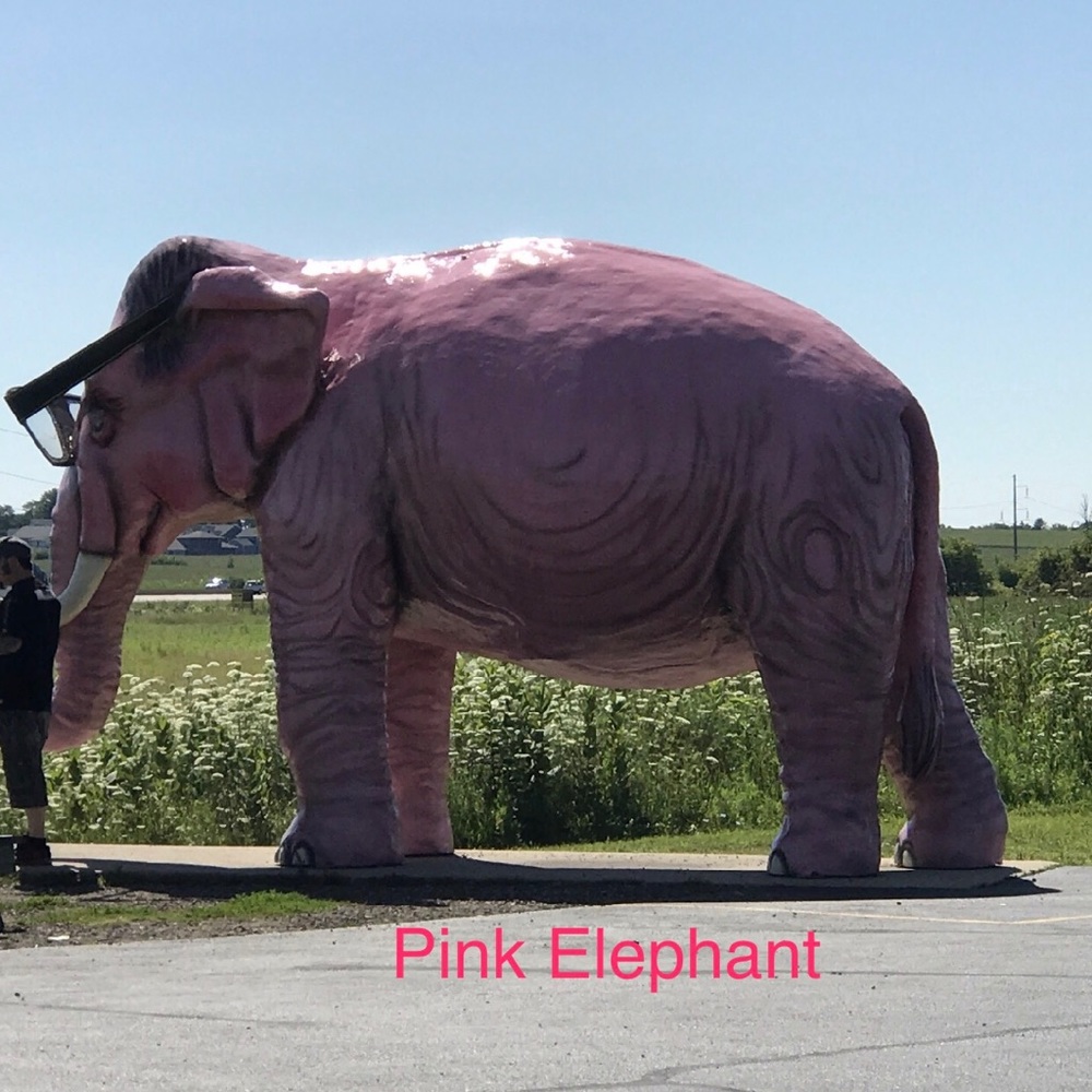 🐘The Pink Elephant 🐘