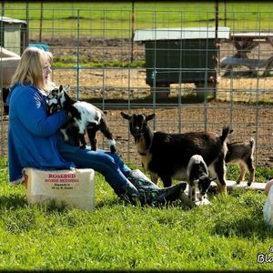 Meet your Posher, Maureen