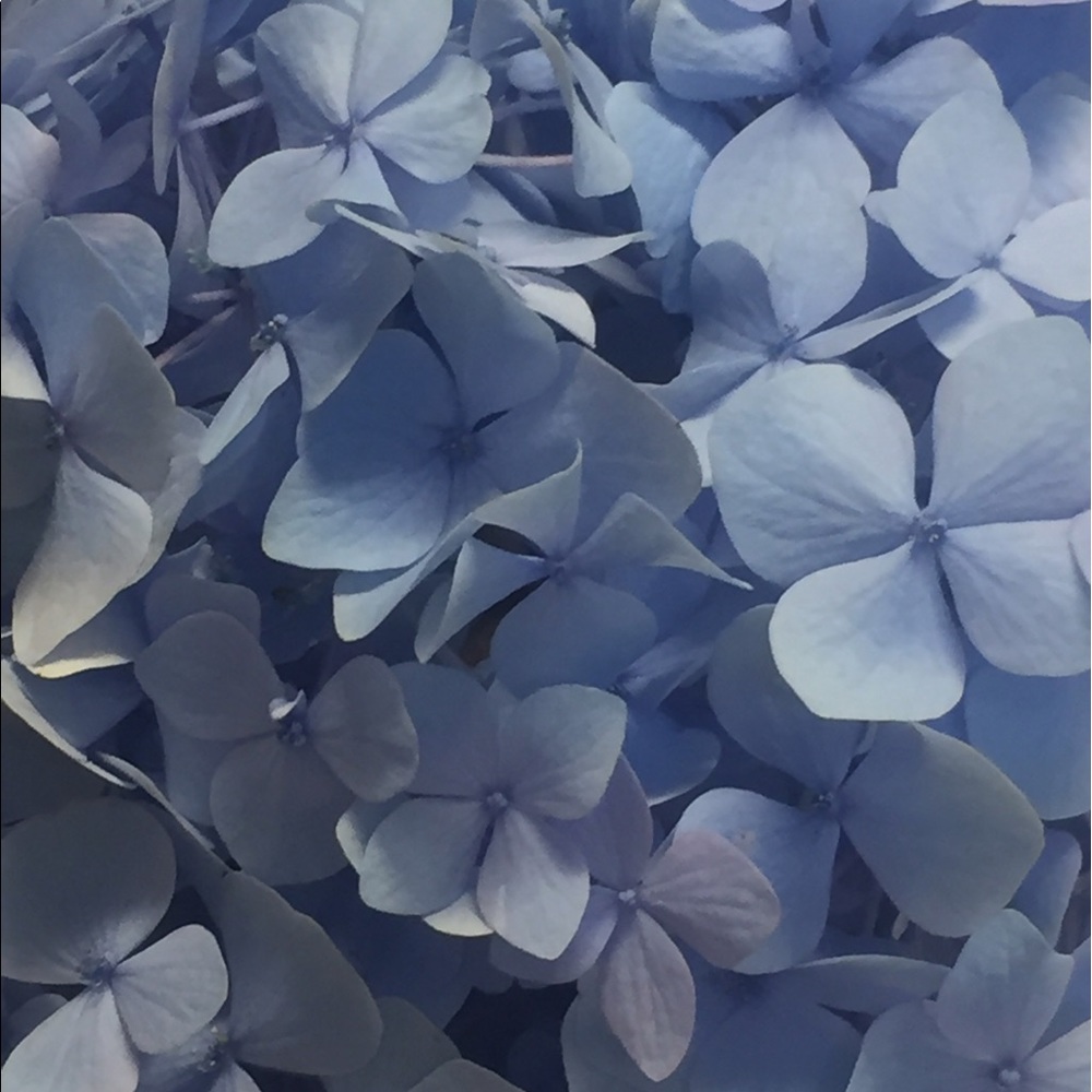 Meet your Posher, Chrissy