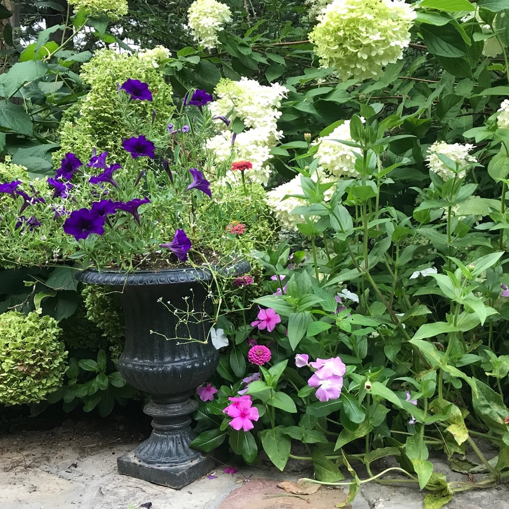 A TIME TO REFRESH - Picture 5 of 8