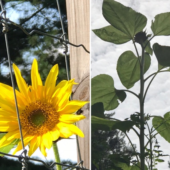 A TIME TO REFRESH - Picture 2 of 8