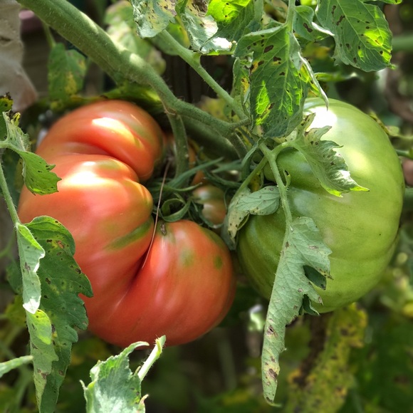 A TIME TO REFRESH - Picture 3 of 8