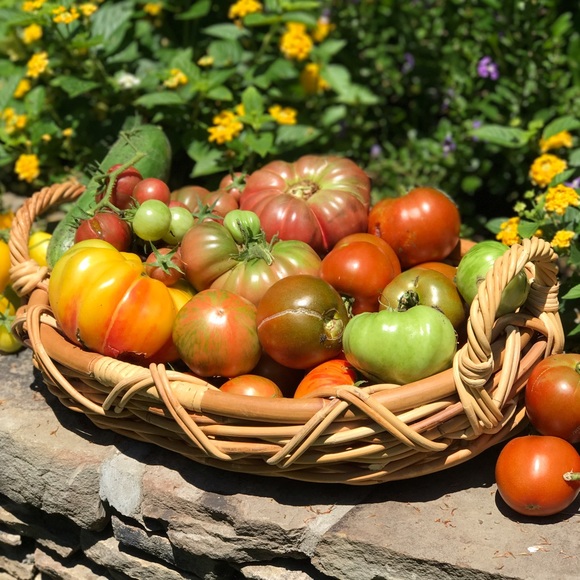 A TIME TO REFRESH - Picture 4 of 8