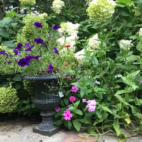 A TIME TO REFRESH - Picture 5 of 8