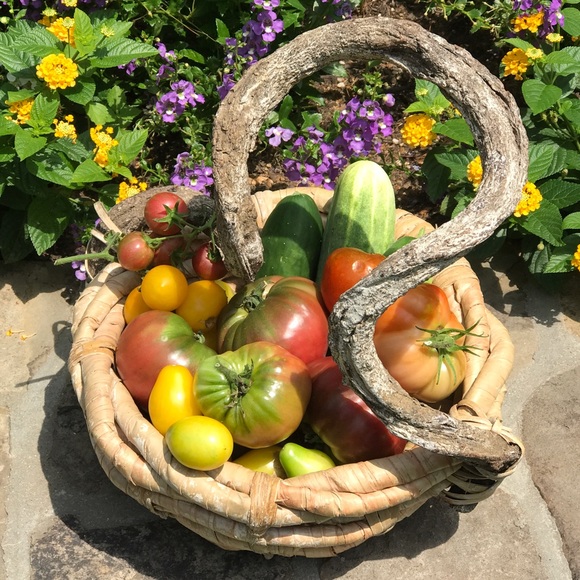 A TIME TO REFRESH - Picture 6 of 8